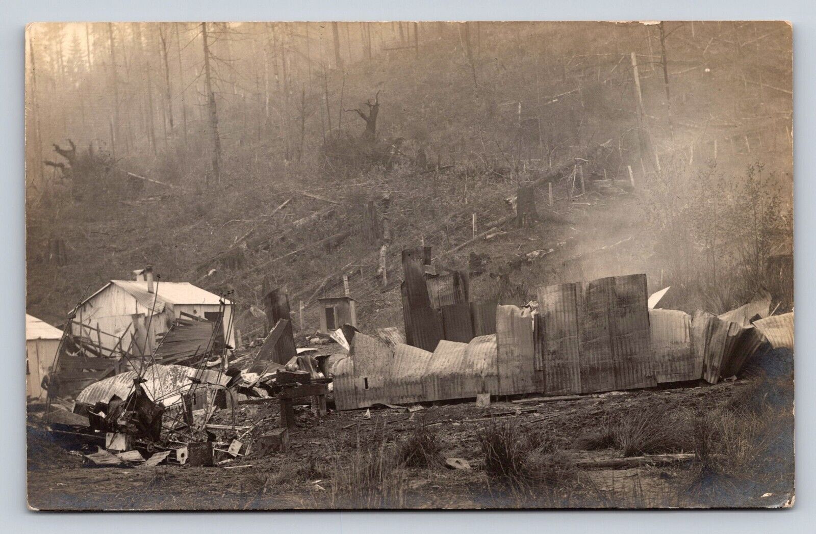 c1910 RPPC Logging Tent Camp Tree Stumps  Real Photo P603