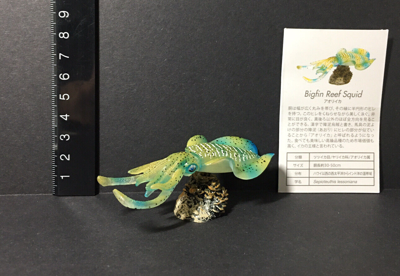 Kaiyodo Favorite Bigfin Reef Squid AQUA FISH Mini Model Figure