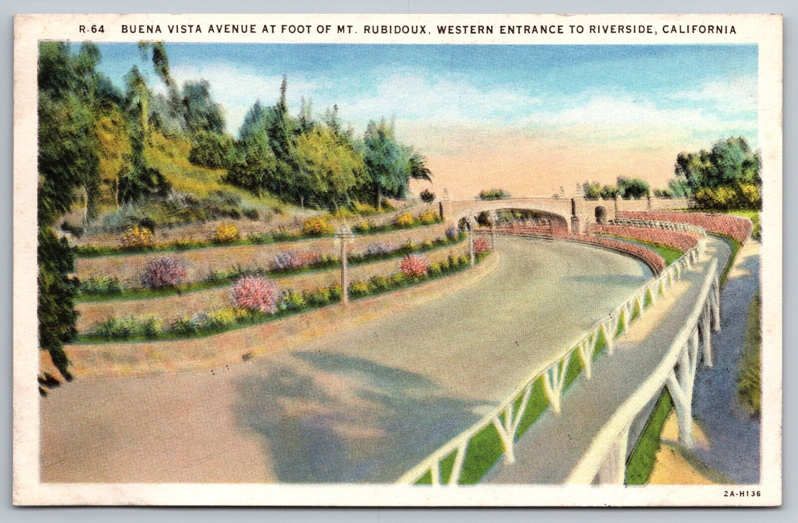 Buena Vista Ave. Mt Rubidoux. Riverside California Postcard