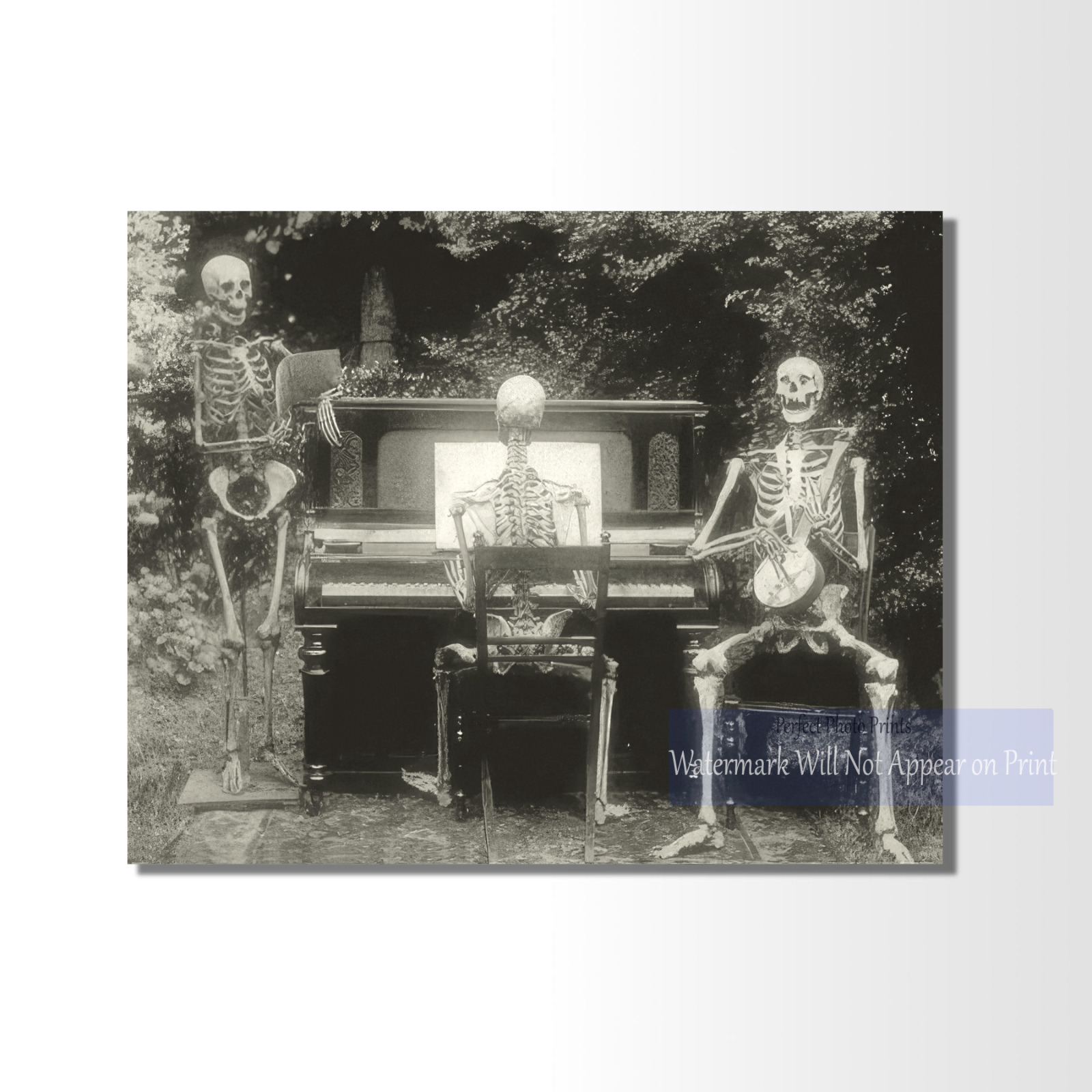 Vintage Creepy Skeleton Band Photo Print - Odd and Unique Antique Wall Art