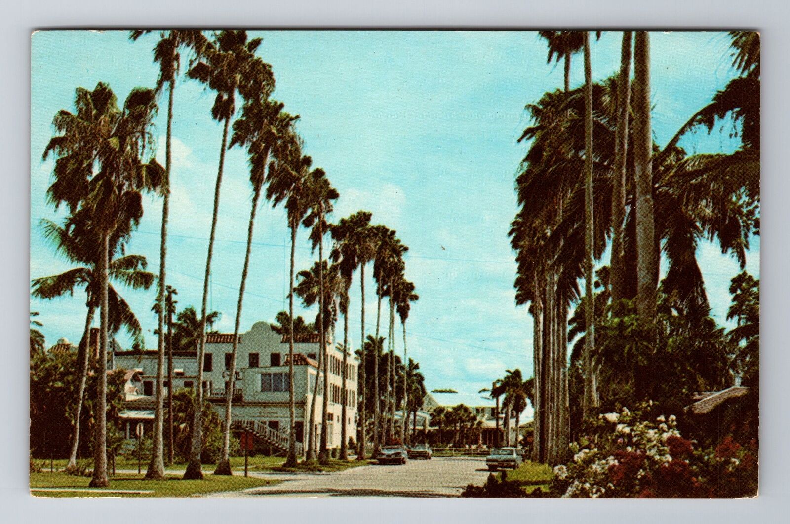 FL-Florida, Everglades City, Antique, Vintage Souvenir Postcard