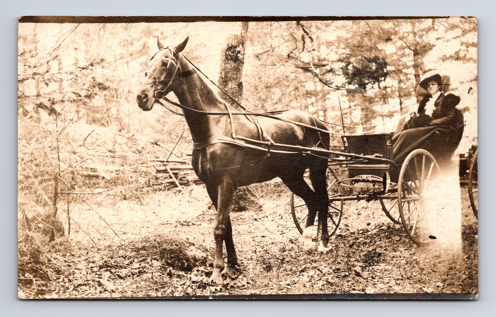 RPPC Distinguished Woman Horse Drawn Buggy Duncan Vancouver Island BC Postcard