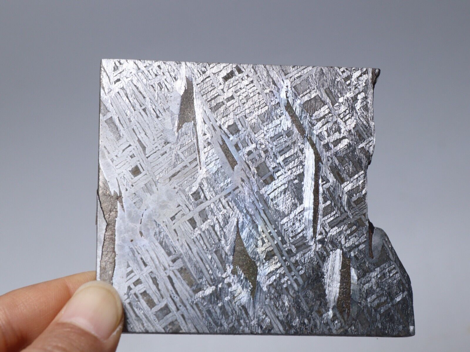 172g Muonionalusta meteorite,Natural meteorite slices,Collectibles,gift N3834