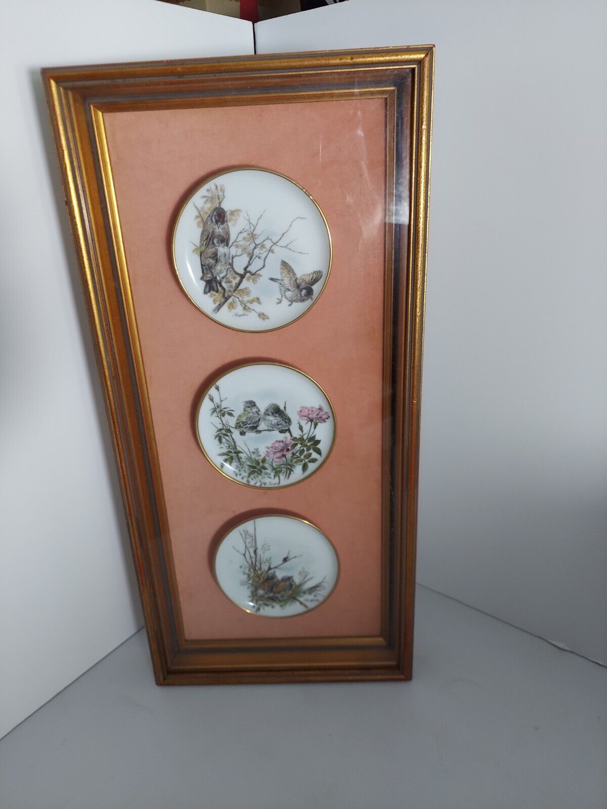 VTG-3 Gloria Bayreuth Bavarian Porcelain Plates Birds,all different in  frame