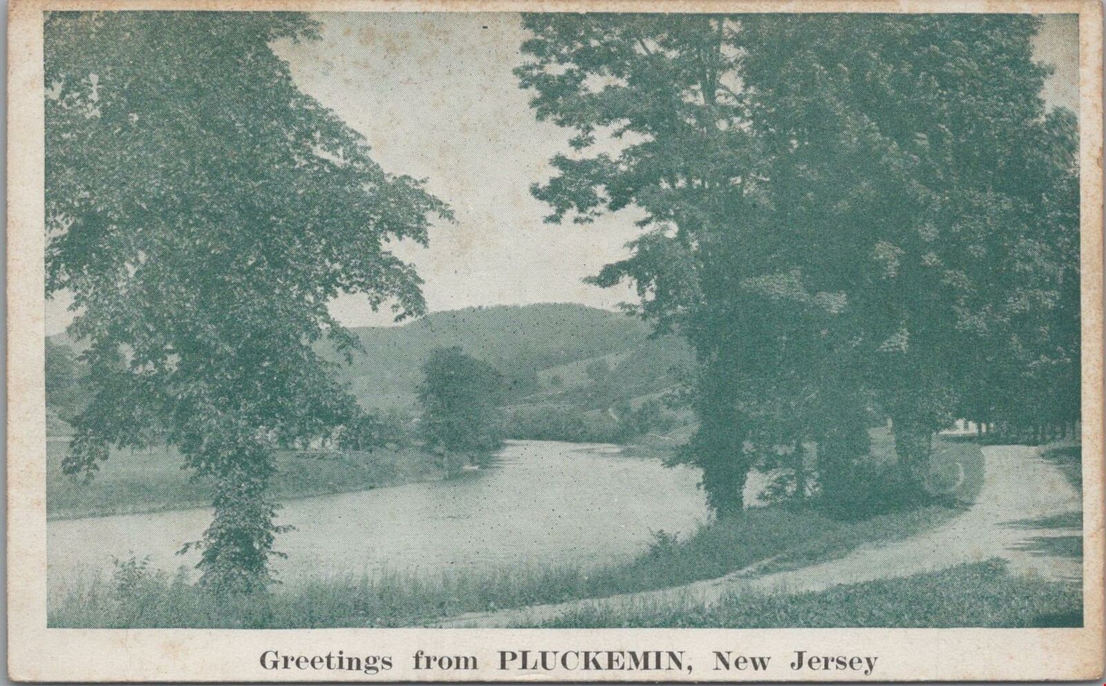 Postcard Greetings from Pluckemin New Jersey NJ 1926