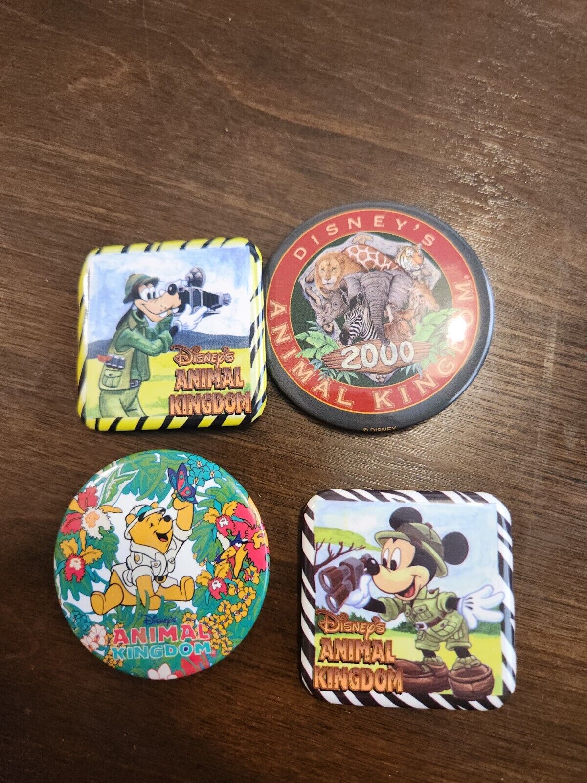Lot Of 4 Disney Animal Kingdom Pins