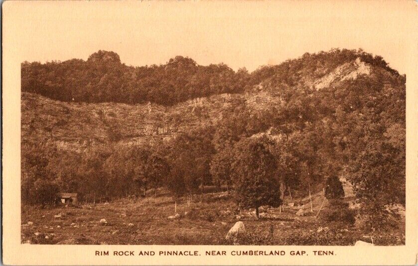 Albertype Postcard Rim Rock & Pinnacle near Cumberland Gap TN Tennessee    E-705