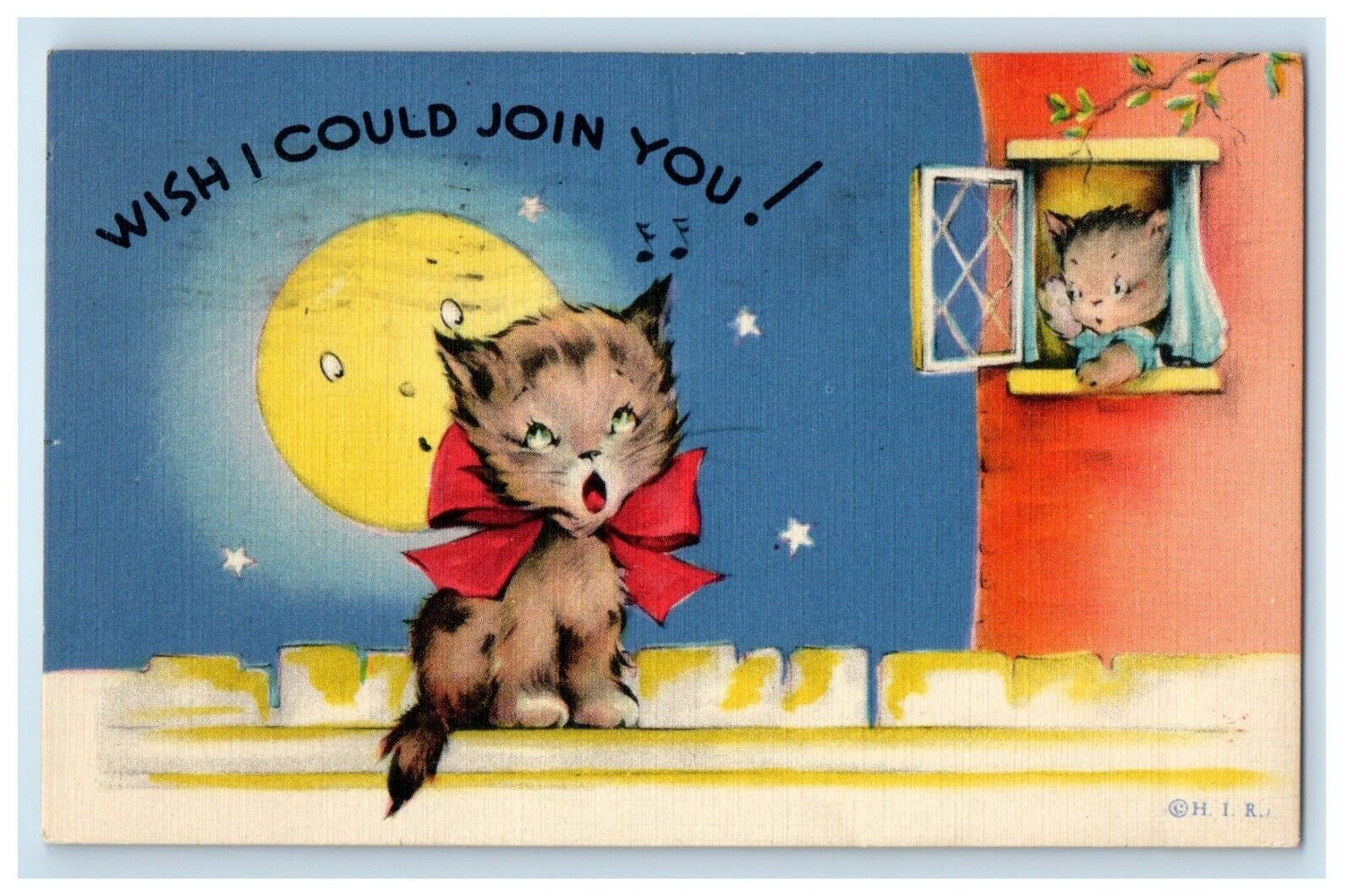 1942 Cute Kitten Cat Cold Full Moon Window Valparaiso Indiana IN Postcard