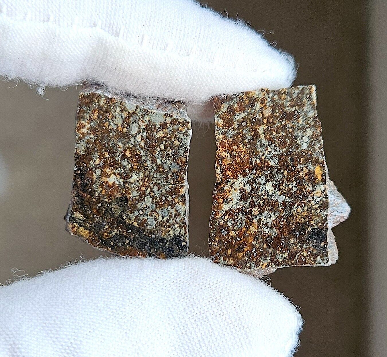 Meteorite NWA 869, L3-6 Chondrite, Two Polished Slices, 13.86g. 1 of 62