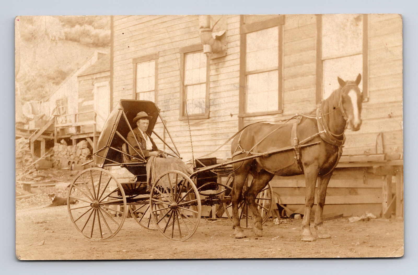 RPPC Man in Single Seat Horse Drawn Buggy Hillside Homes Dog Real Photo Postcard
