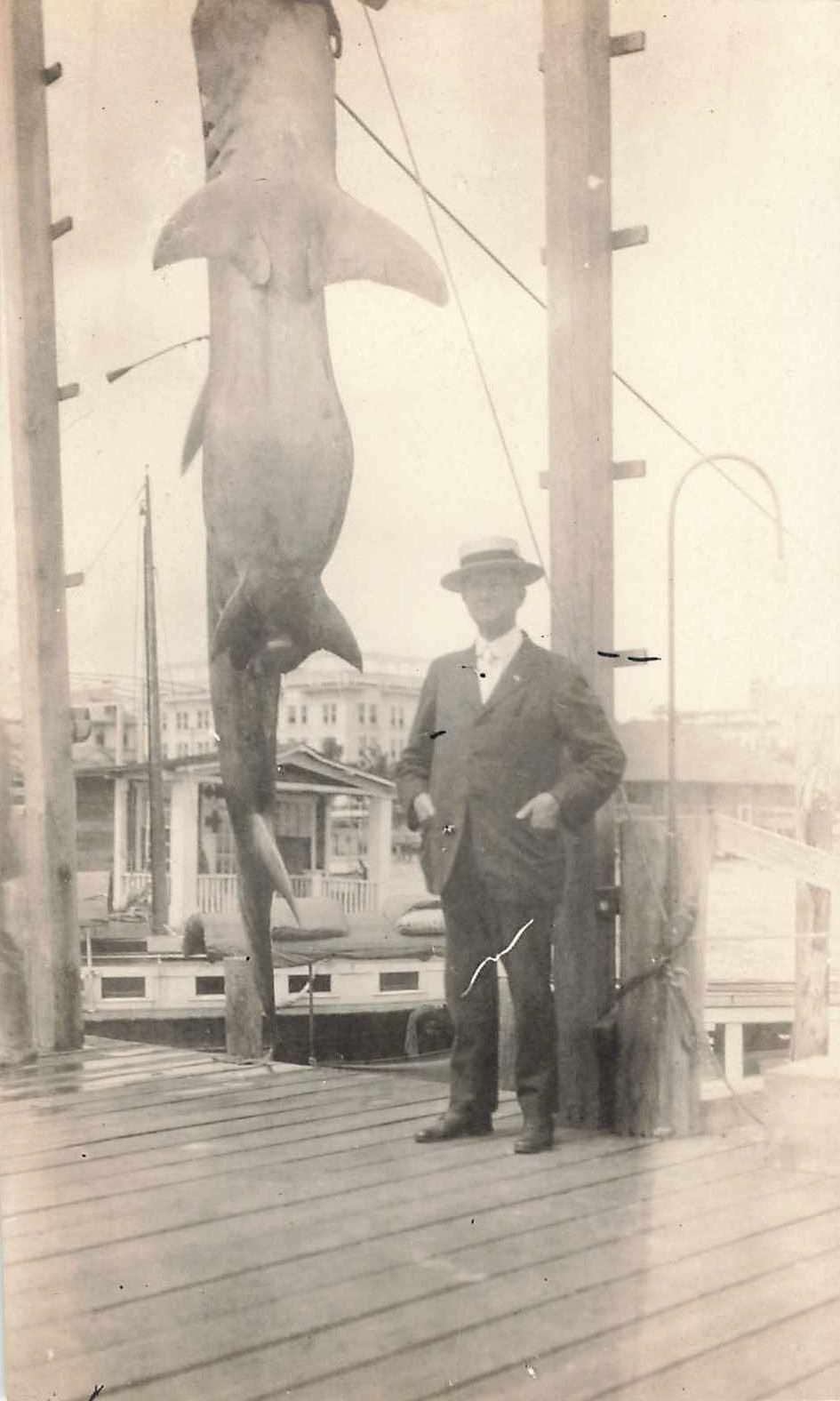1920s RPPC Man Posing w/ Hammerhead Shark Fishing dock Fisherman Suit Trimmed