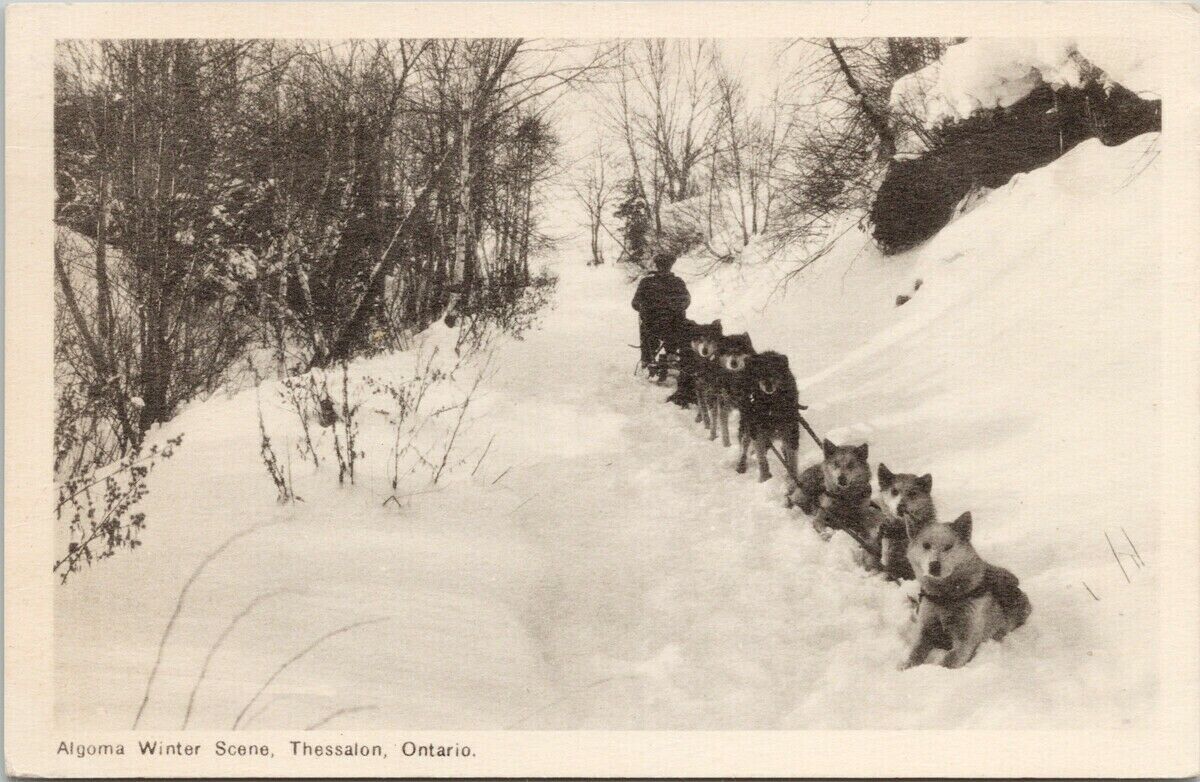 Algoma Winter Scene Thessalon Ontario ON Sled Dogs c1953 Peco Postcard G47