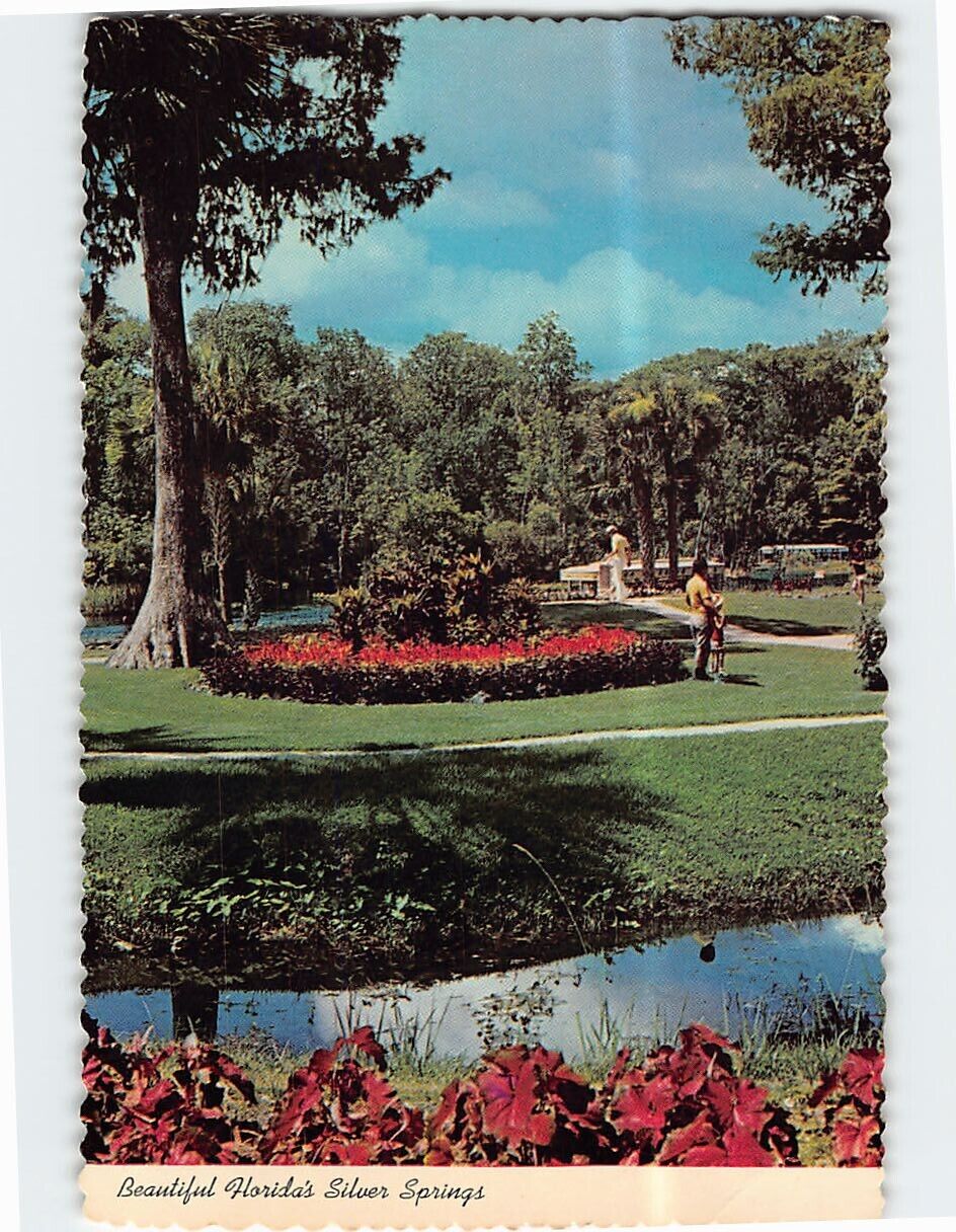Postcard Beautiful Florida\'s Silver Springs, Florida