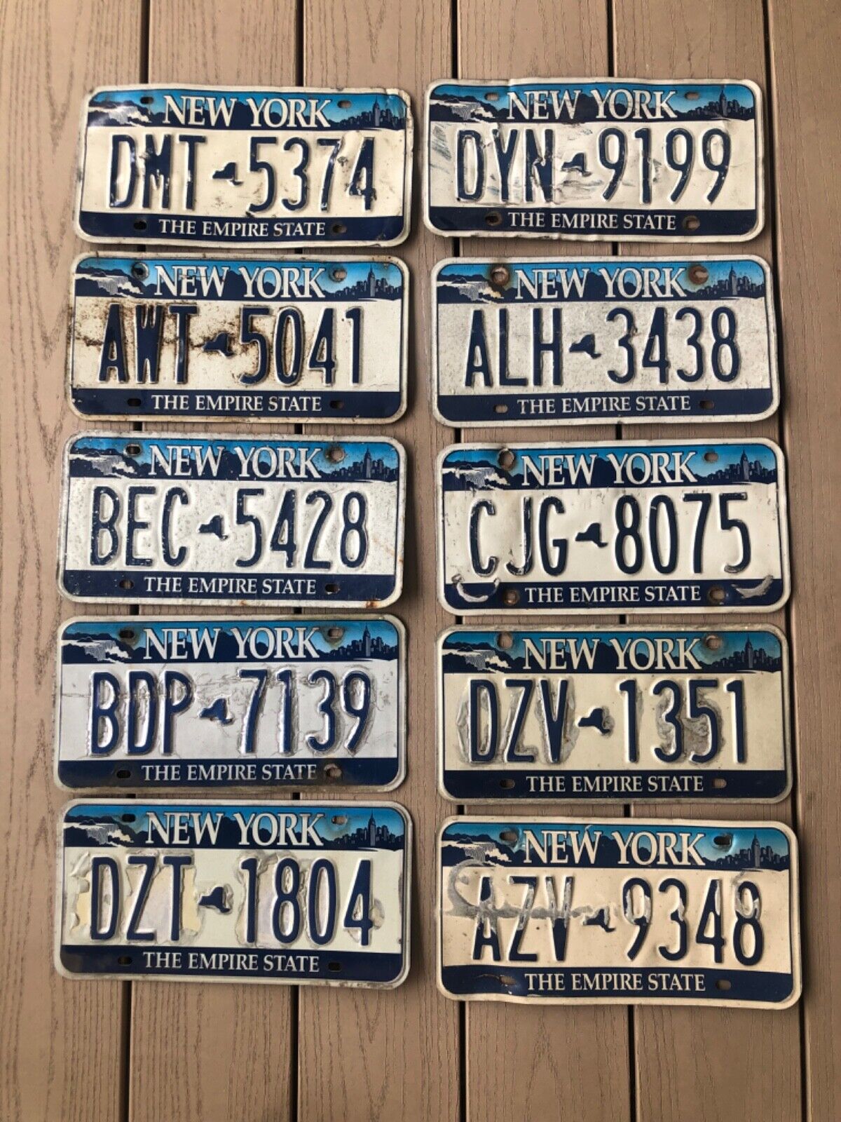 Lot of 10 Vintage Roadkill New York License Plates