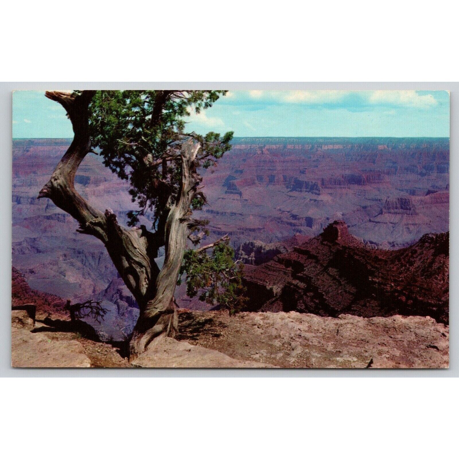 Postcard AZ Grand Canyon National Park Between Yavapai and Yaki Points