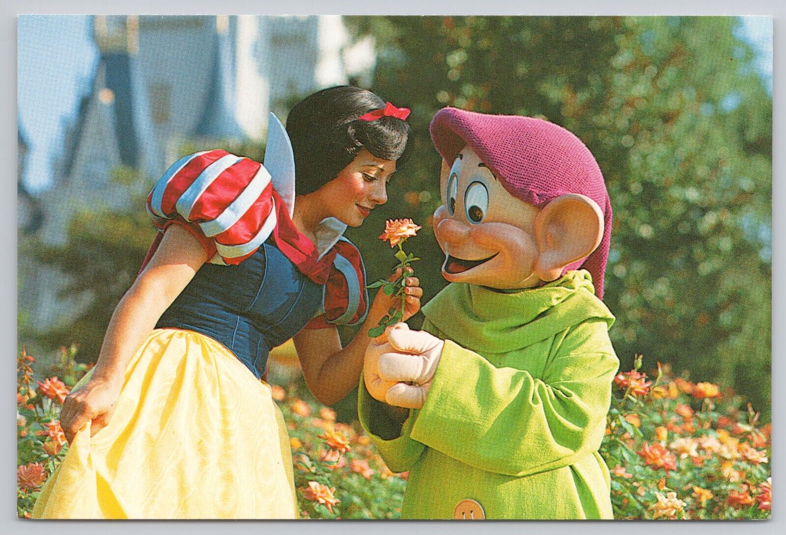 Orlando Florida, Walt Disney World Dopey Gives Rose Snow White, Vintage Postcard