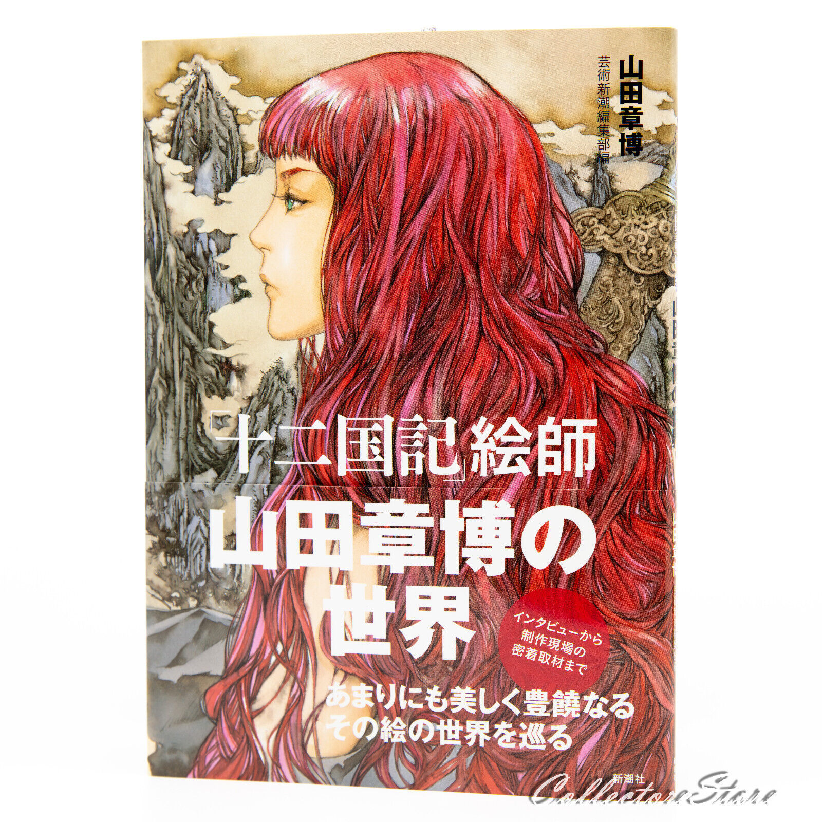 The Twelve Kingdoms The World of Akihiro Yamada Art Book (AIR/DHL)