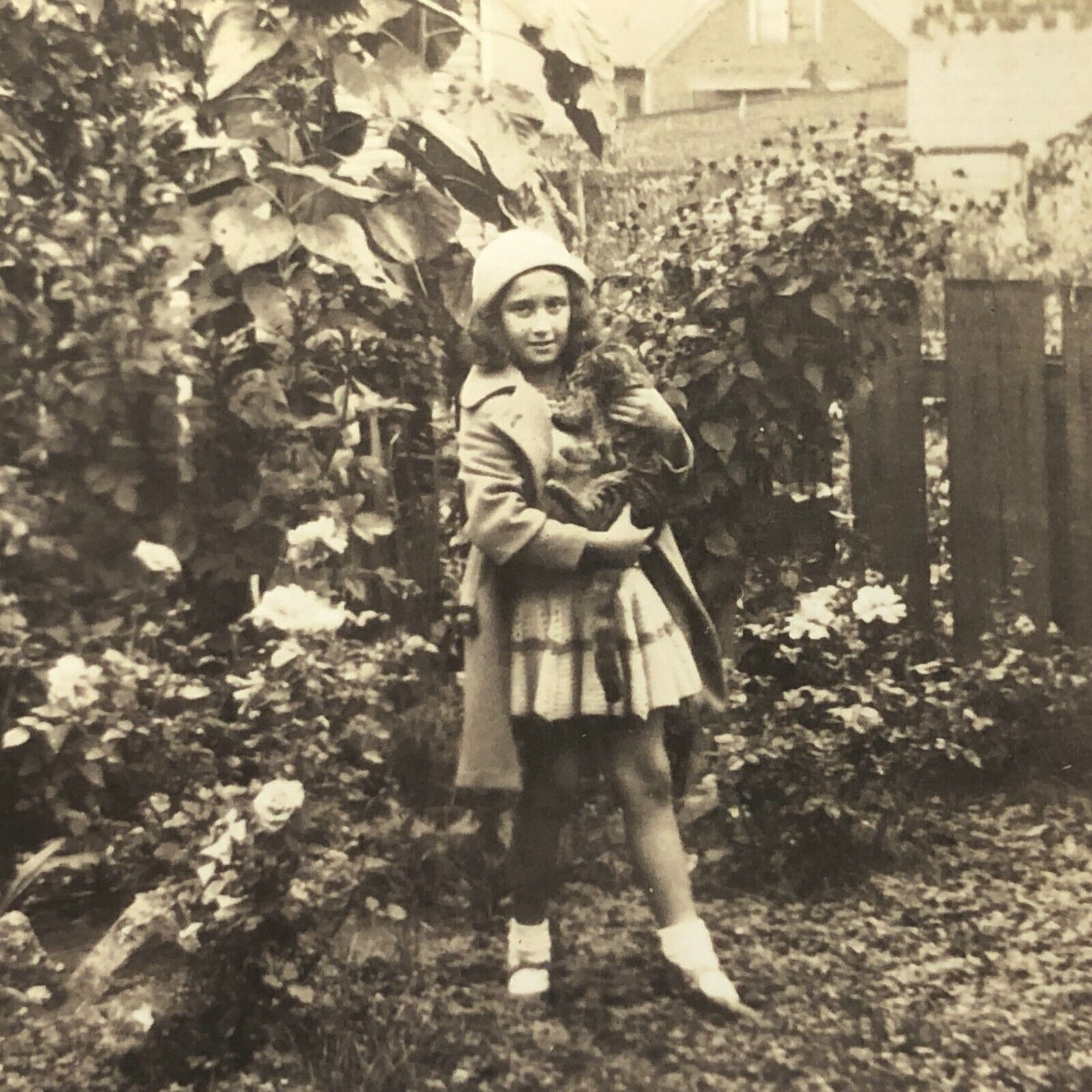Vintage Pretty Girl with Kitty Cat Photo 30s 1940s Sunflowers Roses Garden Yard