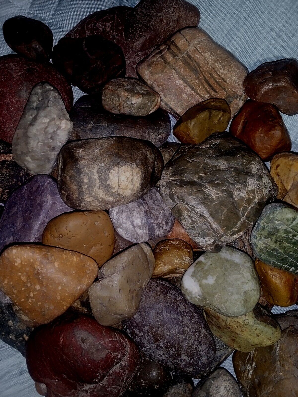 Mixed Colored Jasper Rocky Mountain Sourced , 4 Lbs Quality Rock For Jewelry.