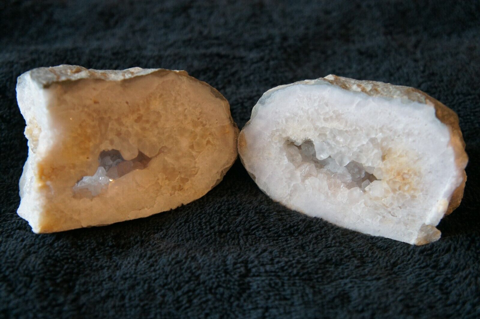 Kentucky Geode (Lincoln County) cut open and cleaned