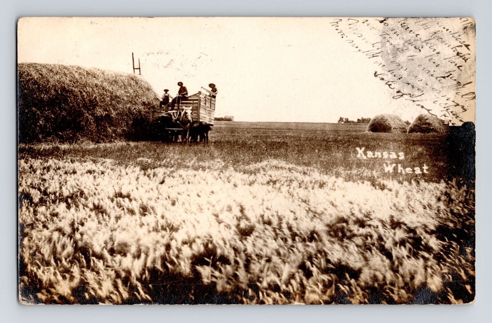 RPPC Kansas Wheat Hay Wagon UDB Posted Cheney KS 1906 Antique Postcard