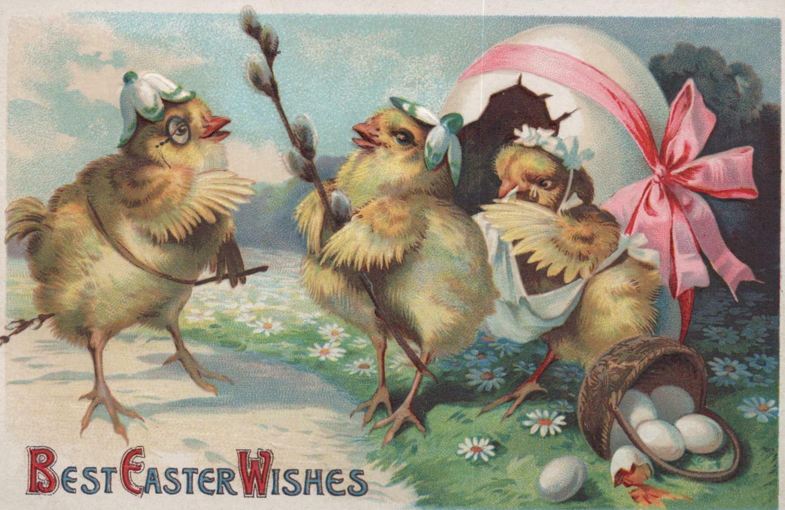 Postcard Best Easter Wishes Chicks Dressed Up c. 1900s 