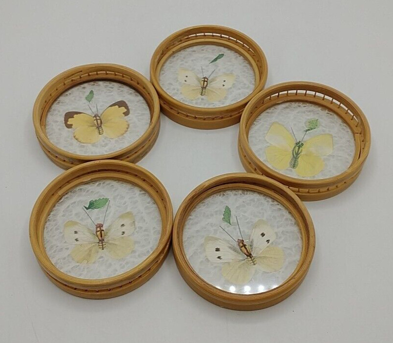 Vintage Set of 5 Butterfly/Wood Coasters Real Butterflies Taxidermy Boho Rattan