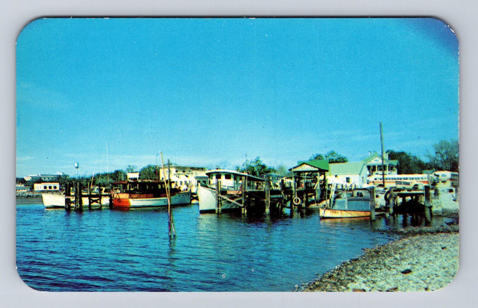 Biloxi MS-Mississippi, View Of The Shrimp & Oyster Industry, Vintage Postcard