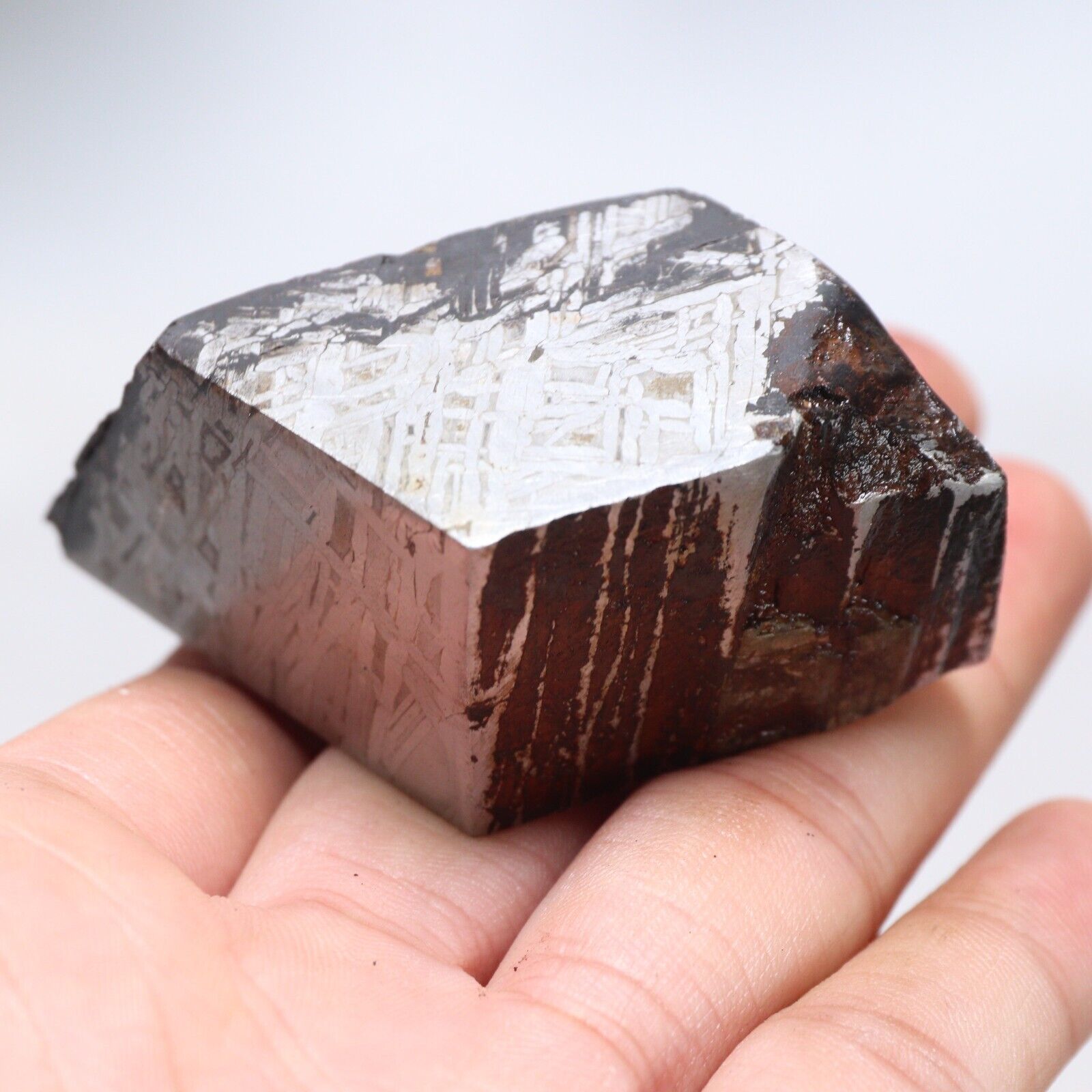 172g  Muonionalusta meteorite part slice C6199