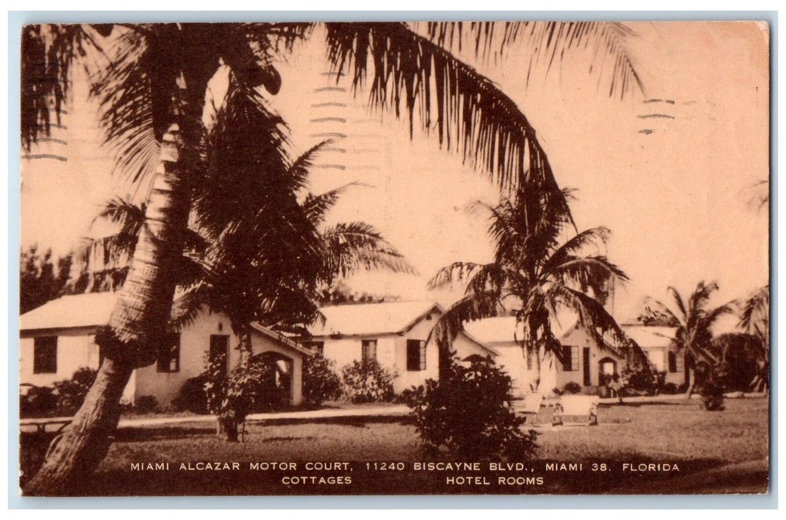 1948 Miami Alcazar Motor Court Hotel Rooms Miami Florida FL Posted Tree Postcard