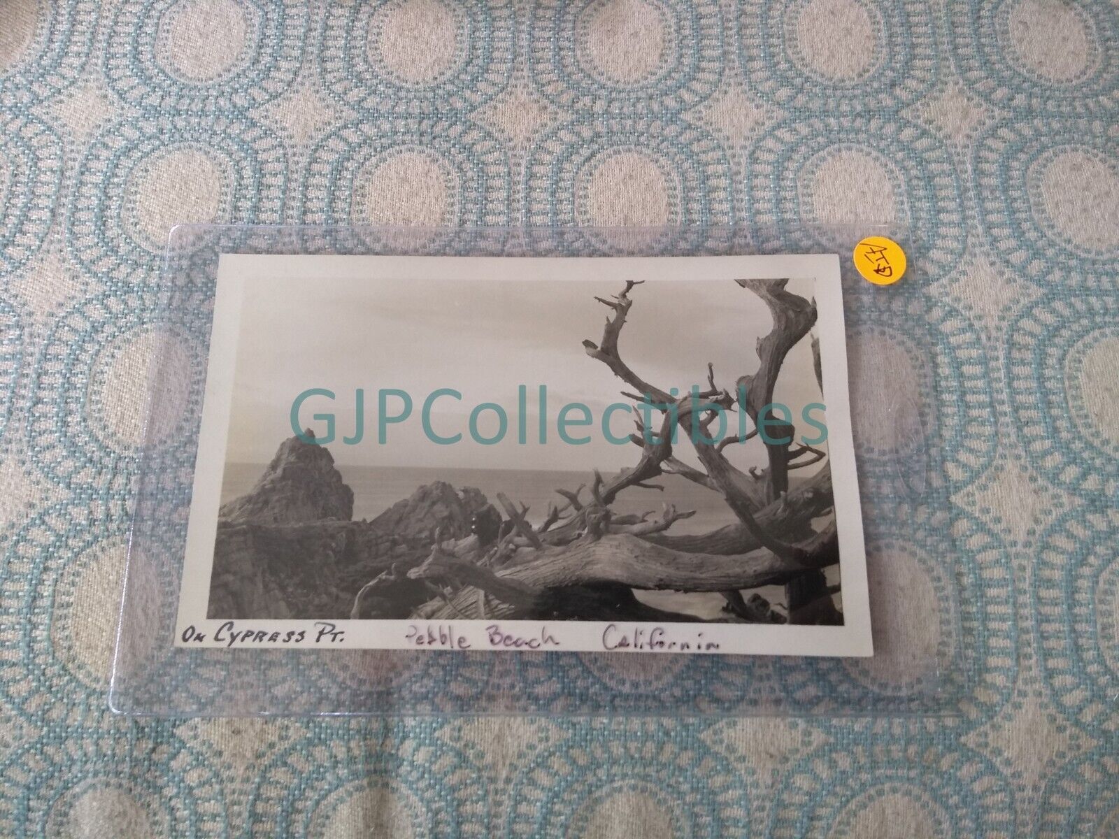 AID VINTAGE PHOTOGRAPH Spencer Lionel Adams ON CYPRESS POINT PEBBLE BEACH CA