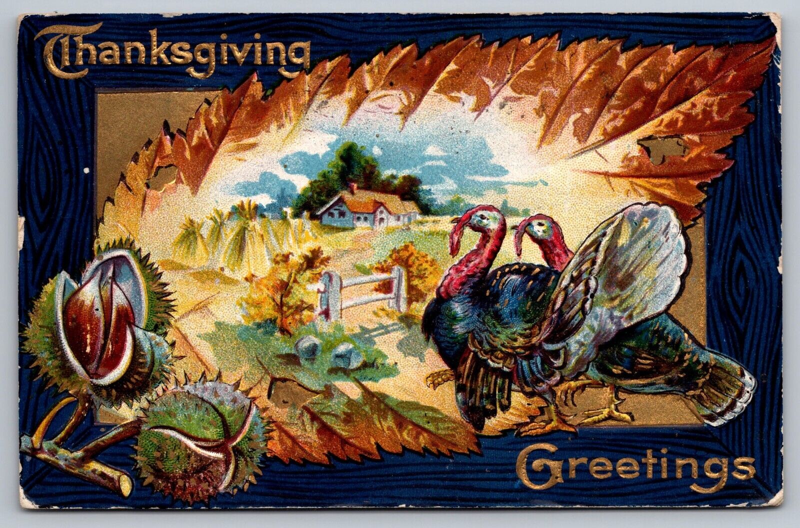 Thanksgiving Greetings c1910 Antique Embossed Postcard
