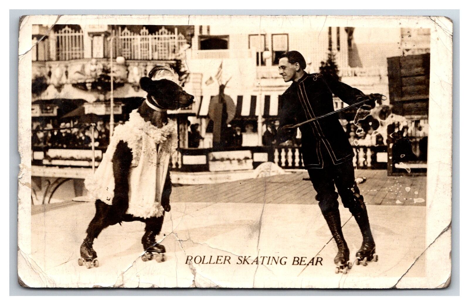 C1910S ROLLER SKATING BEAR TRAINED ANIMAL ACT RPPC circus freak show