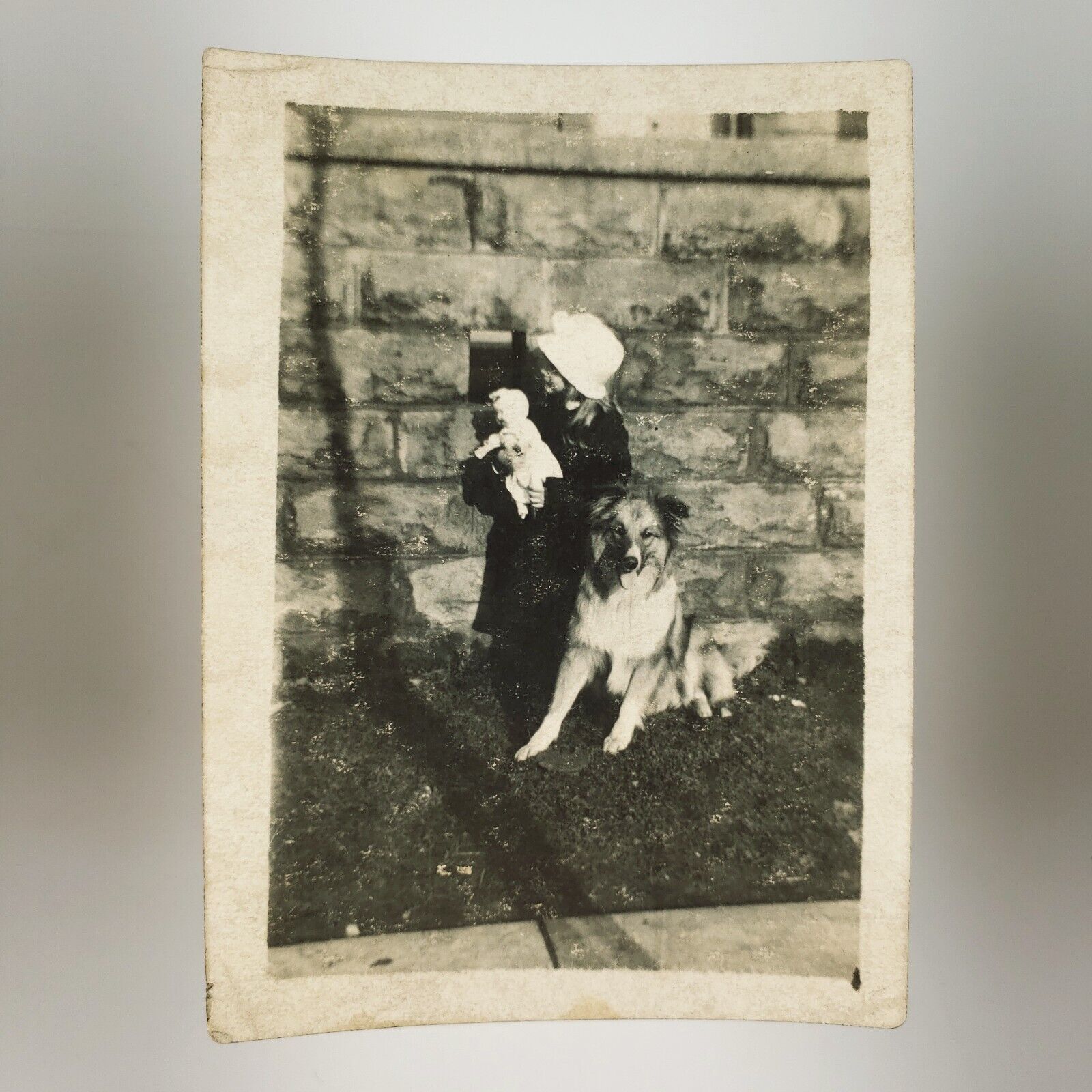 Girl With Dog & Doll Photo c1918 Brick Wall Child Pet Vintage Snapshot A3309