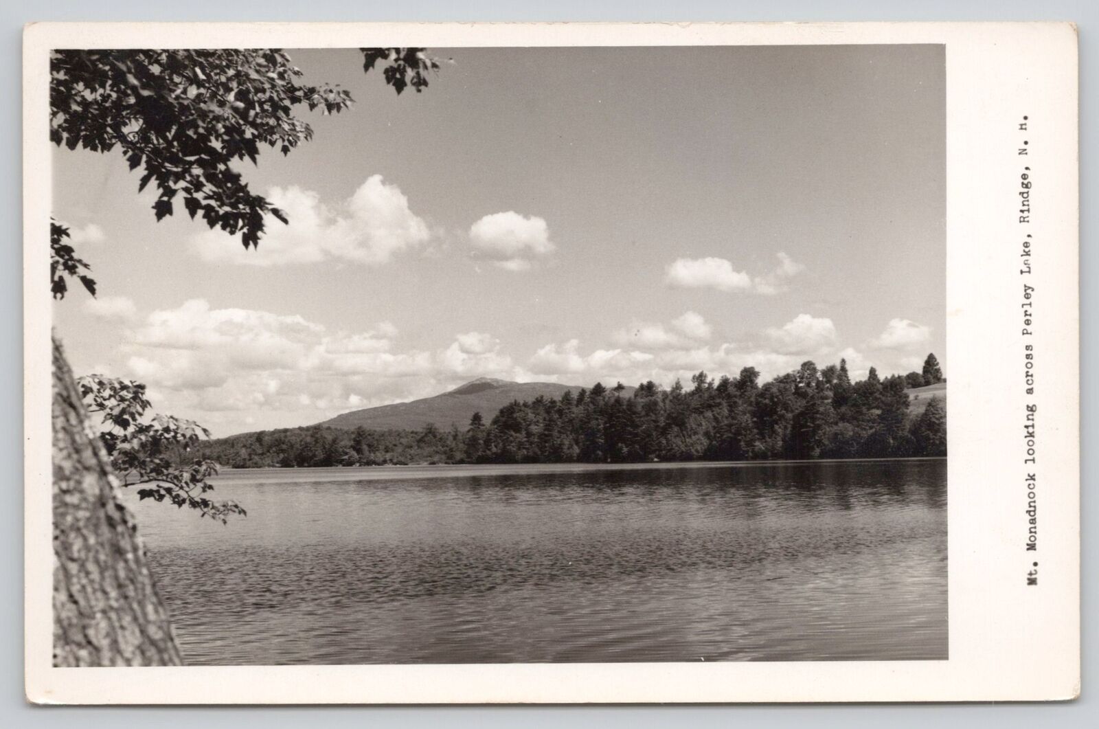 Postcard RPPC Mt. Monadnock Looking Across Perley Lake Rindge New Hampshire