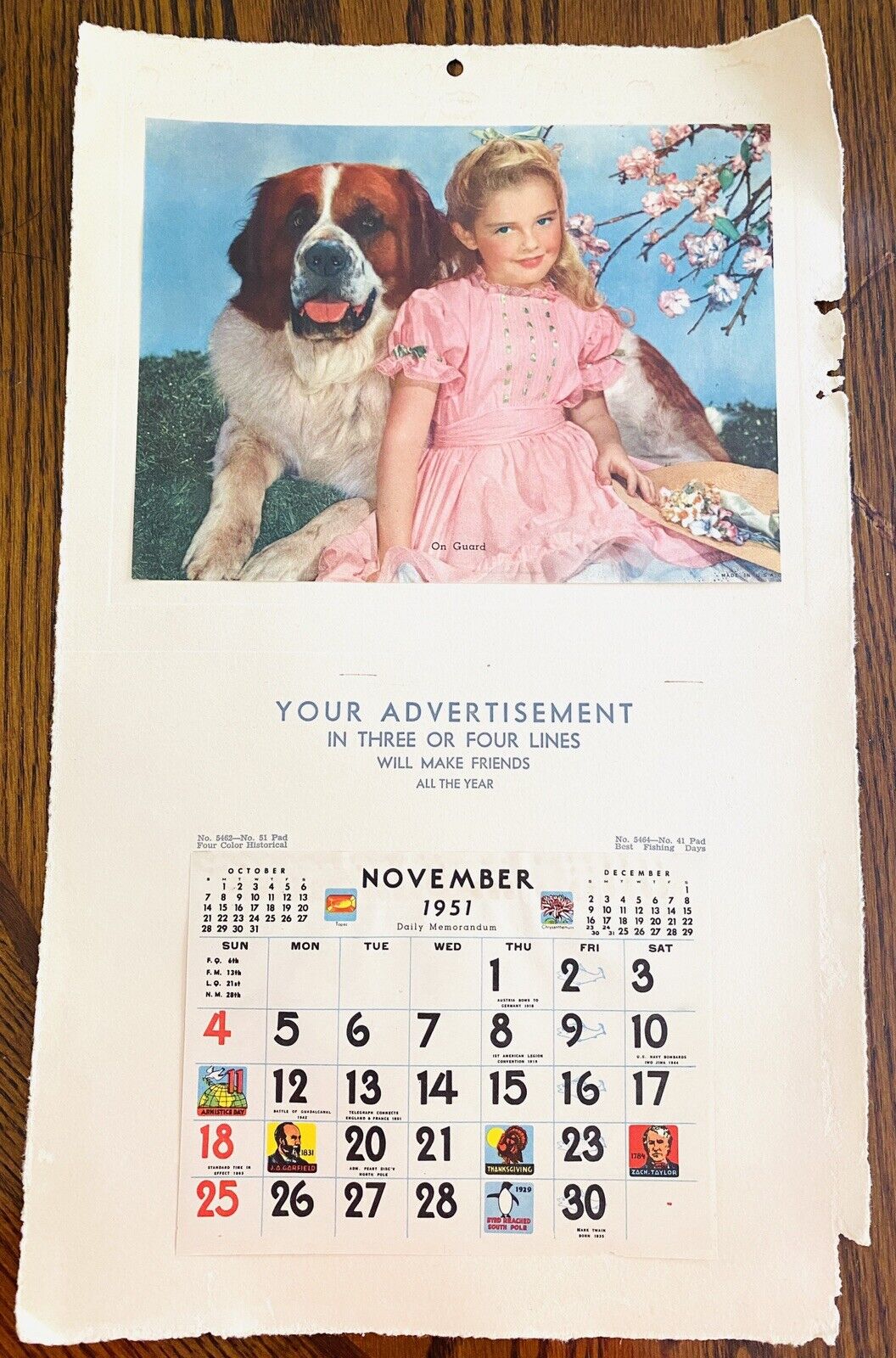 Vintage Advertising Calendar November 1951 Little Girl With Saint Bernard Dog