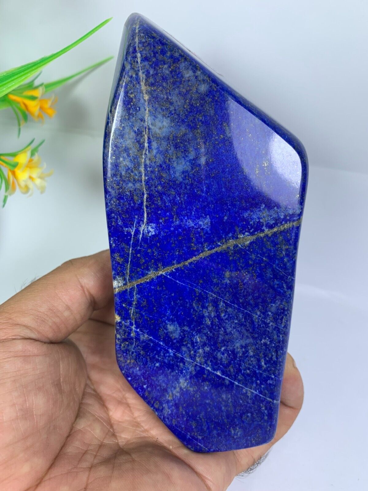 1.5LB Lapis Lazuli Healing Crystal Freeform Polished Rough Tumble Specimen Stone