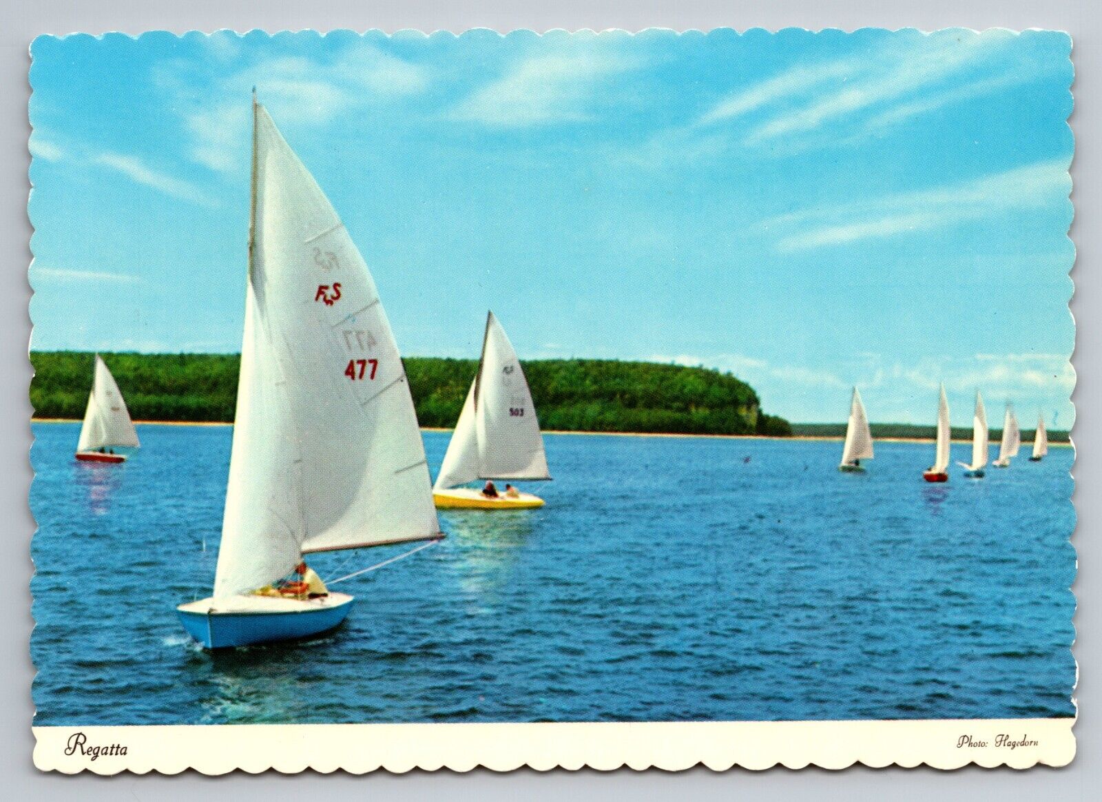 Sailing Regatta Door County Wisconsin Vintage Unposted Postcard Lake Michigan