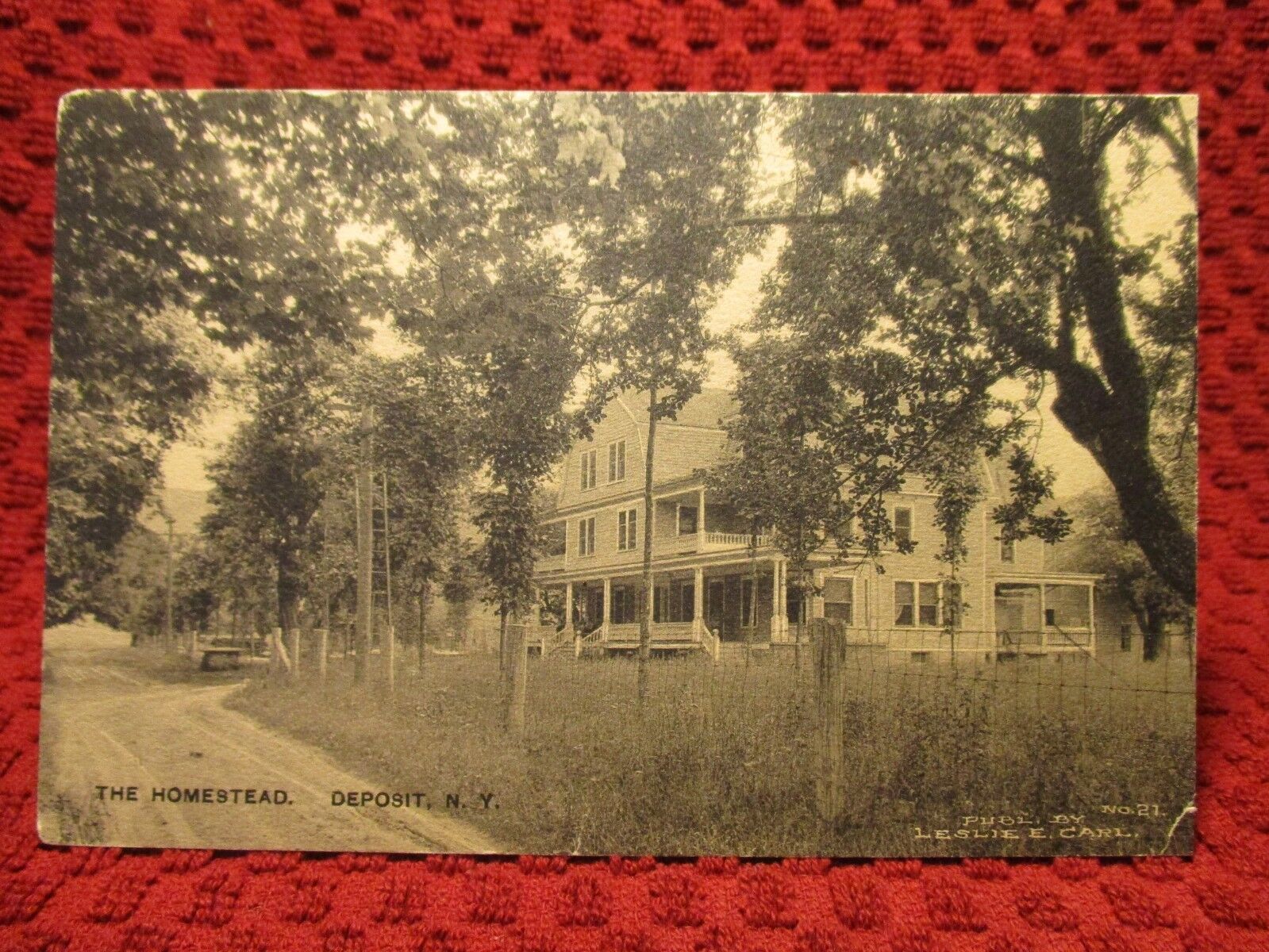 EARLY 1900'S. DEPOSIT, NY. THE HOMESTEAD. POSTCARD I12