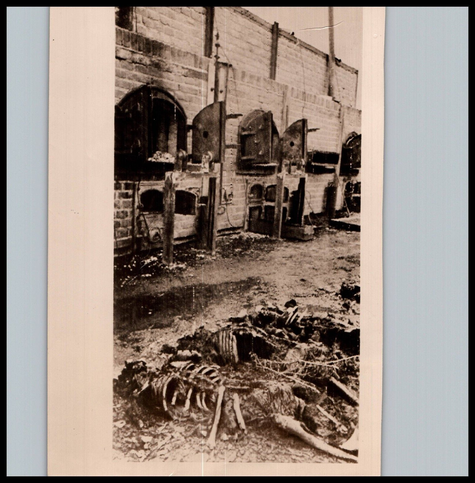1944 ORIG WWII HOLOCAUST LUBLIN POLAND VICTIMS STREET DEATHS PRESS Photo 200