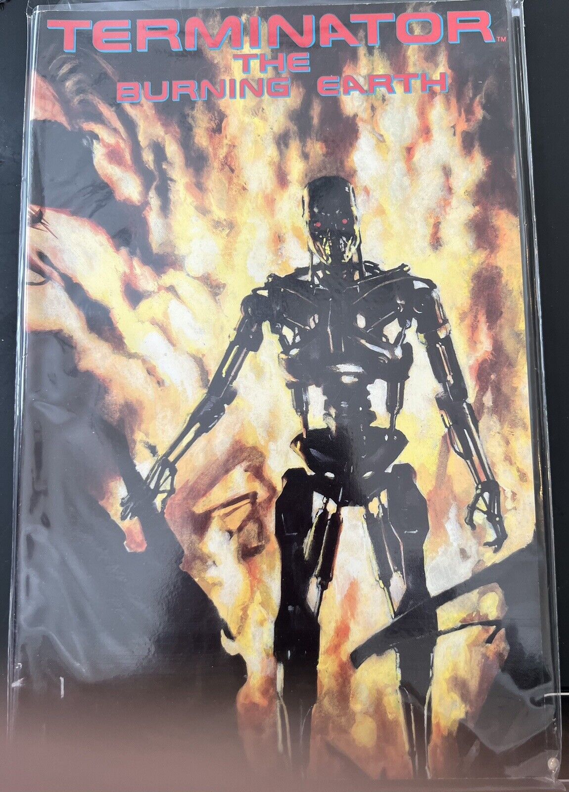 Terminator The Burning Earth Paperback 1st Print 1ST ALEX ROSS COMIC Now Comics