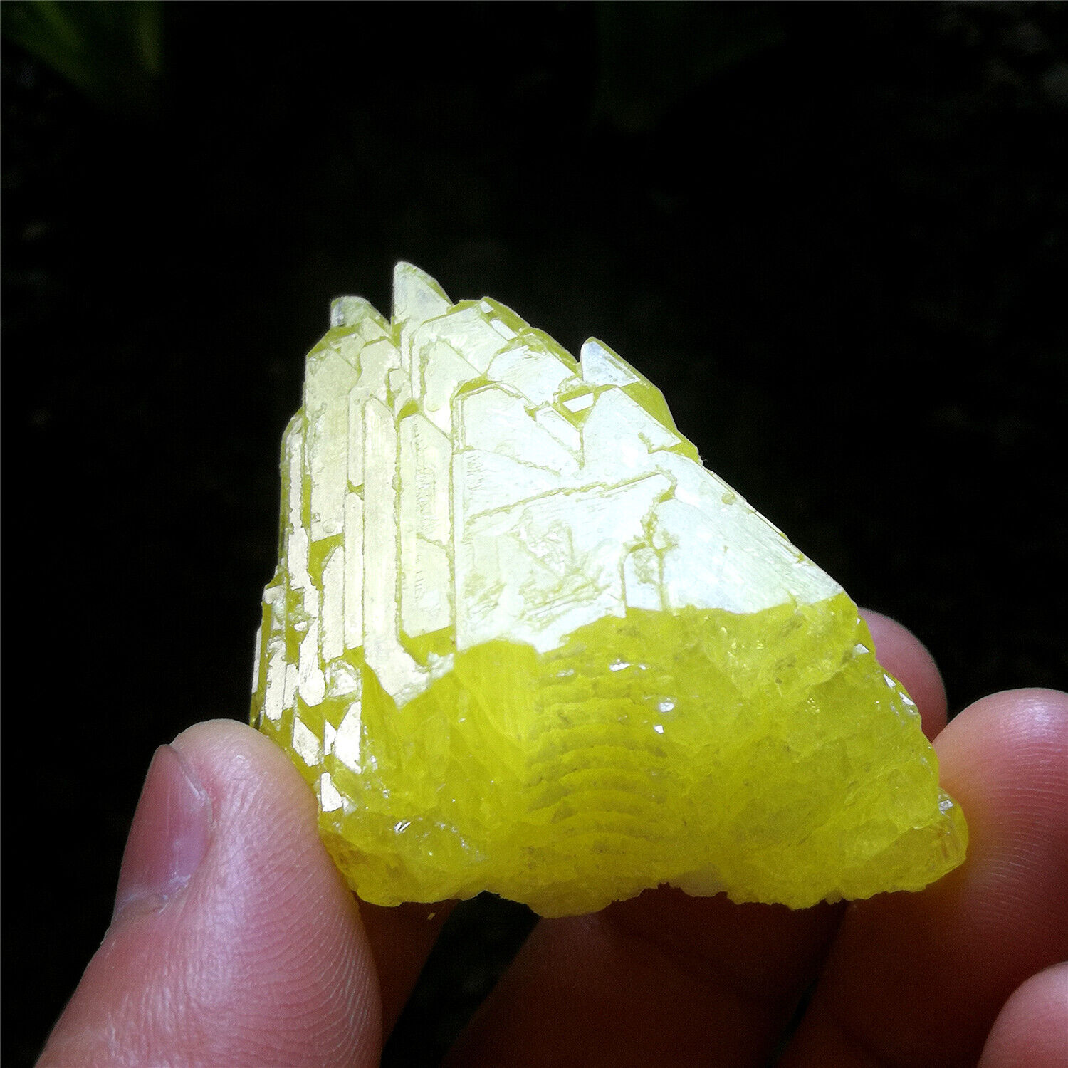34g 45mm Skeletal Bright Sulfur Rare Luster Sulfur Crystal Cluster Specimen