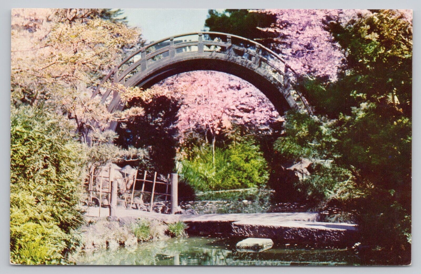 San Francisco California, Japanese Tea Garden Moon Bridge, Vintage Postcard