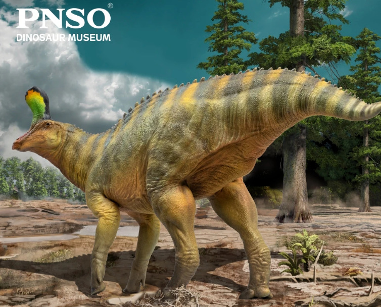 JUST MODEL PNSO Dinosaur Museums Series:XiaoQin The tsintaosaurus 1:35 Model