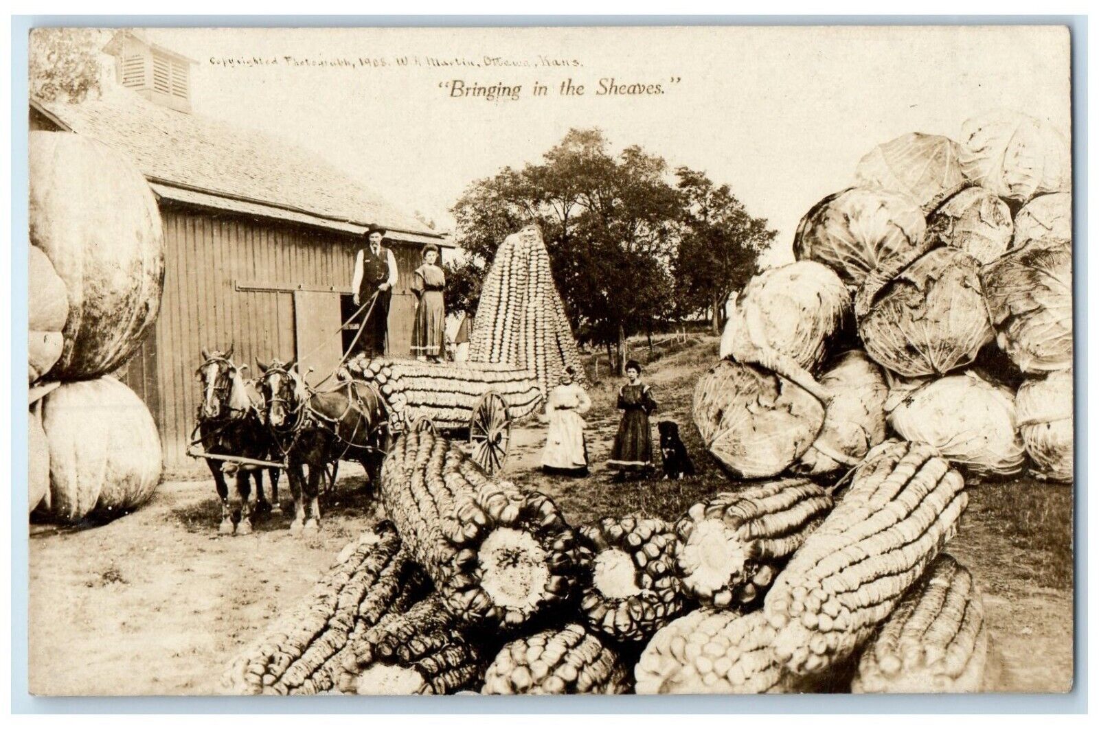 c1910's Exaggerated Pumpkins Corn Cabbage Martin RPPC Photo Antique Postcard