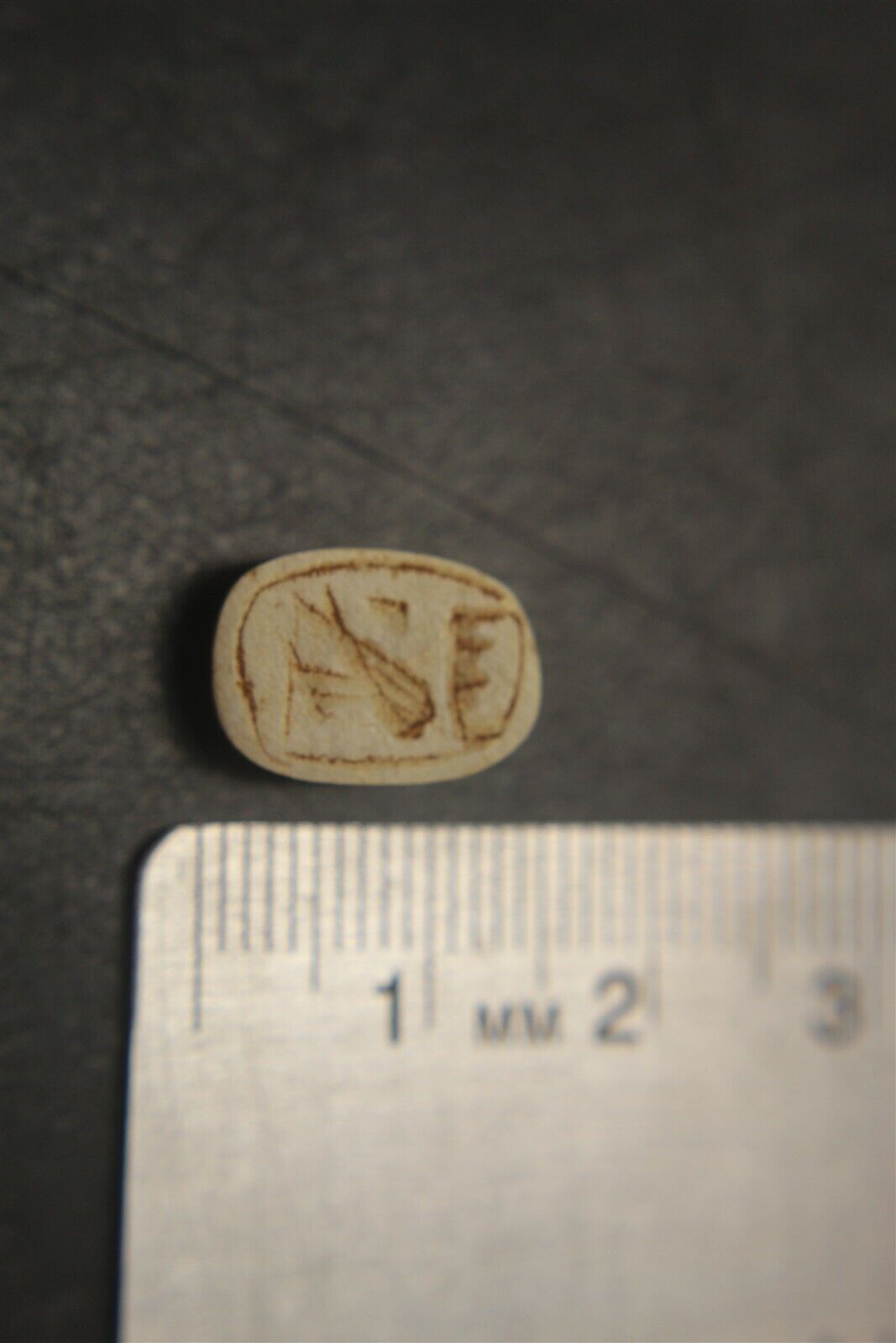 ANCIENT EGYPT STEATITE SCARAB - BEATLE WITH DETAILED DESIGN - Ca 600 BC INV SC3