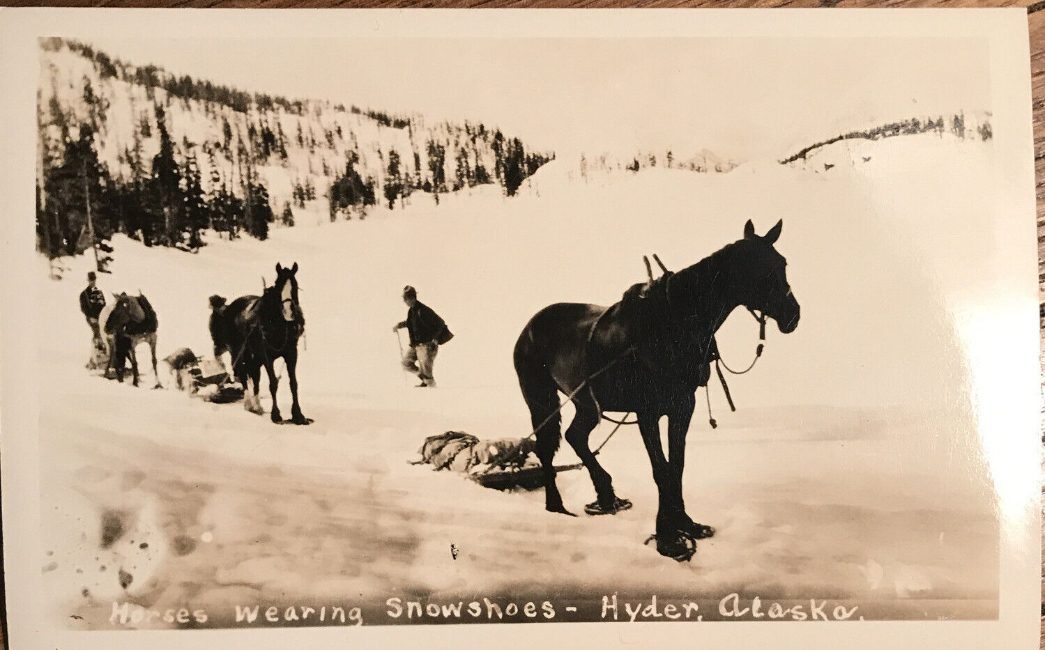 H7/ Alaska Postcard RPPC 53 Norwegian Snowshoes Horse