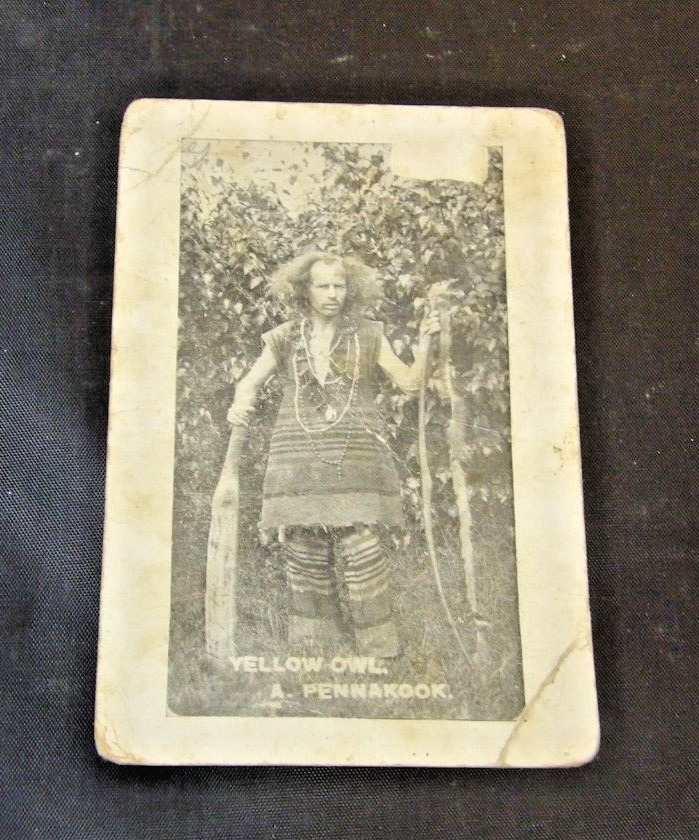 Antique Vintage Native American Indian  Postcard-Yellow Owl-A Pennakook
