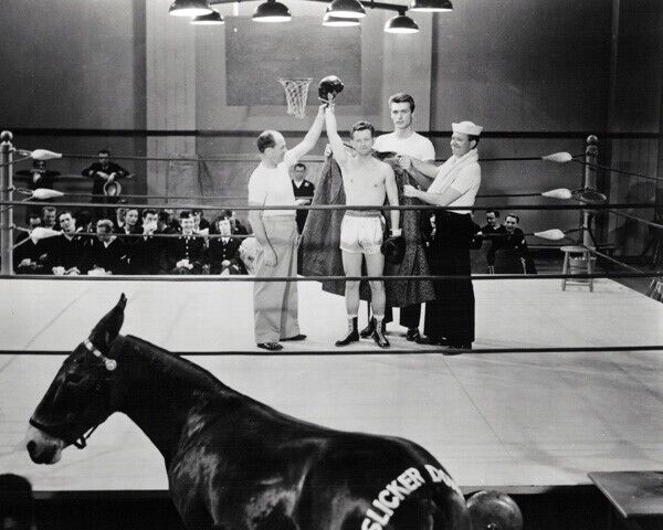 Francis in the Navy 1955 Donald O'Connor Clint Eastwood boxing rink 8x10 photo