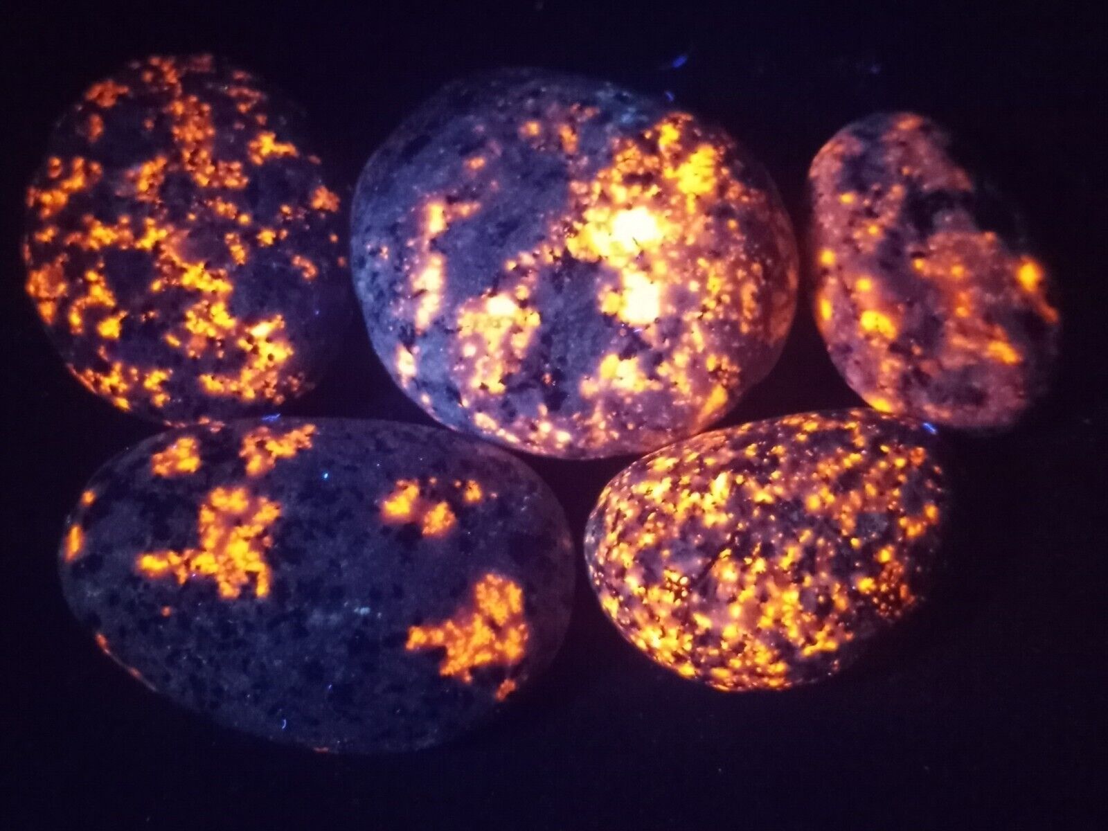  Yooperlite Set of 5 - BRIGHT Lake Superior stones with UV fluorescent Sodalite